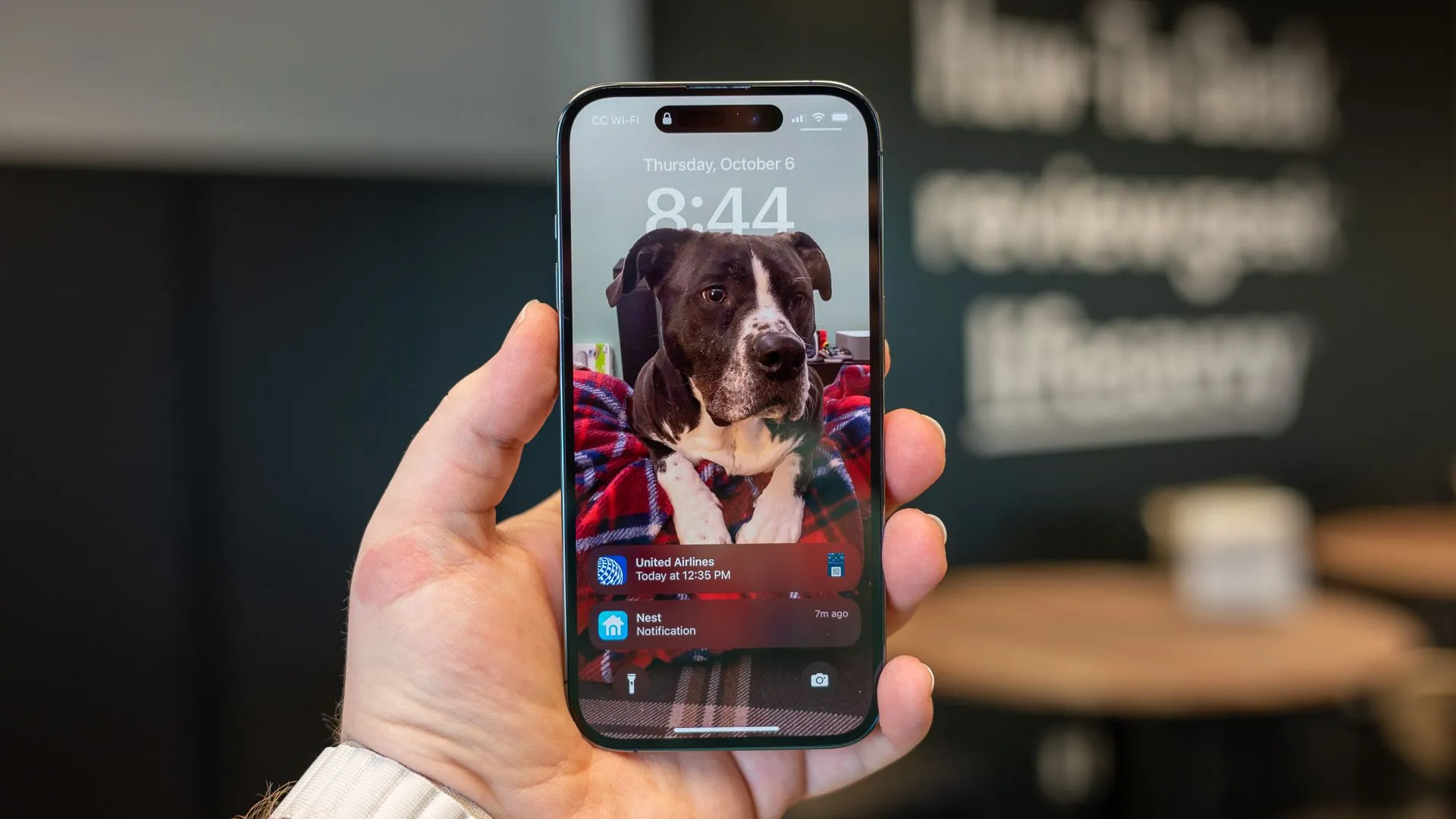 Chiếc iPhone 14 Pro màu tím sâu với màn hình khóa hiển thị thông báo.