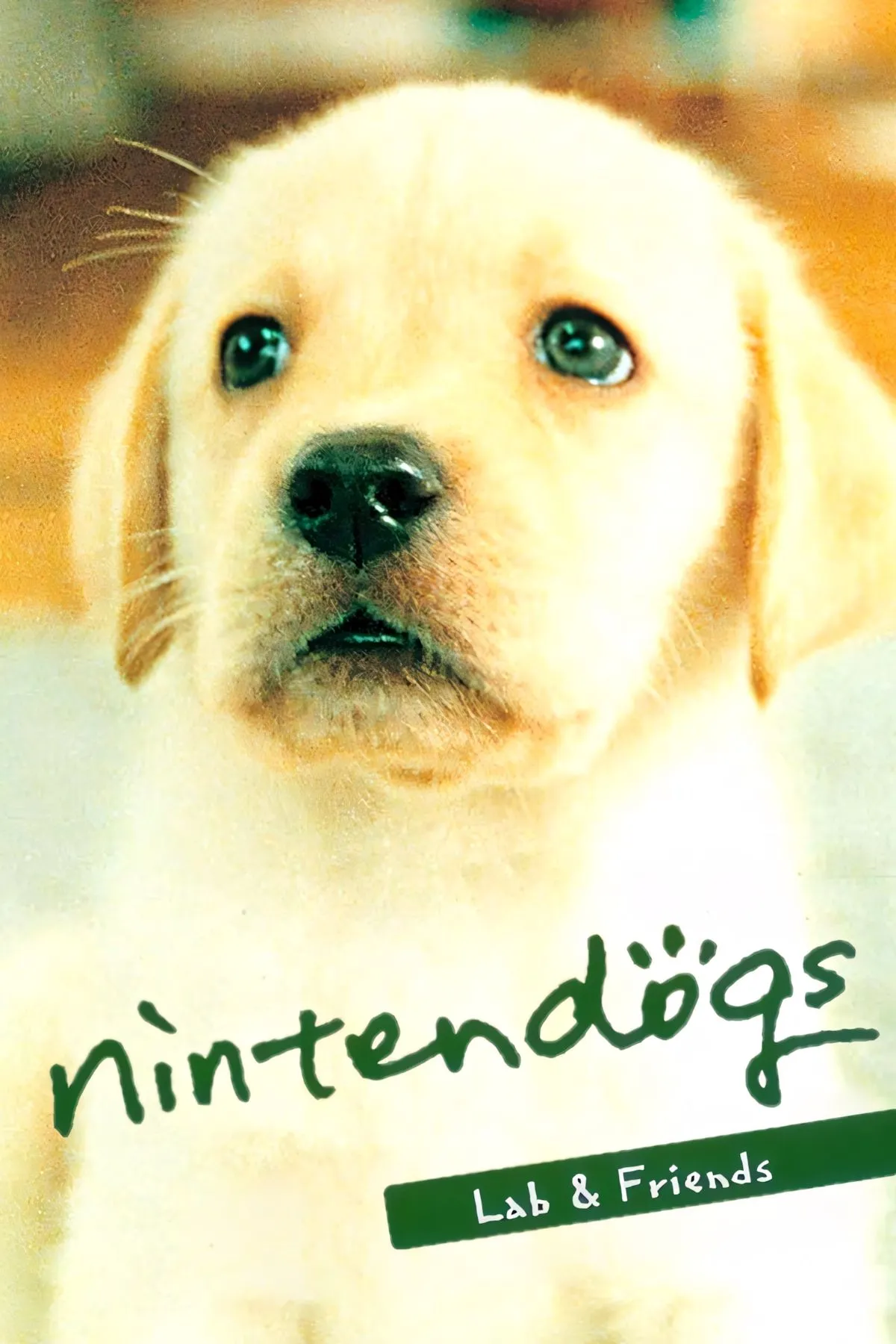 Chú chó đáng yêu trong game Nintendogs