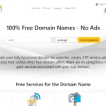 Giao diện trang chủ Free Domain, nhà cung cấp tên miền miễn phí