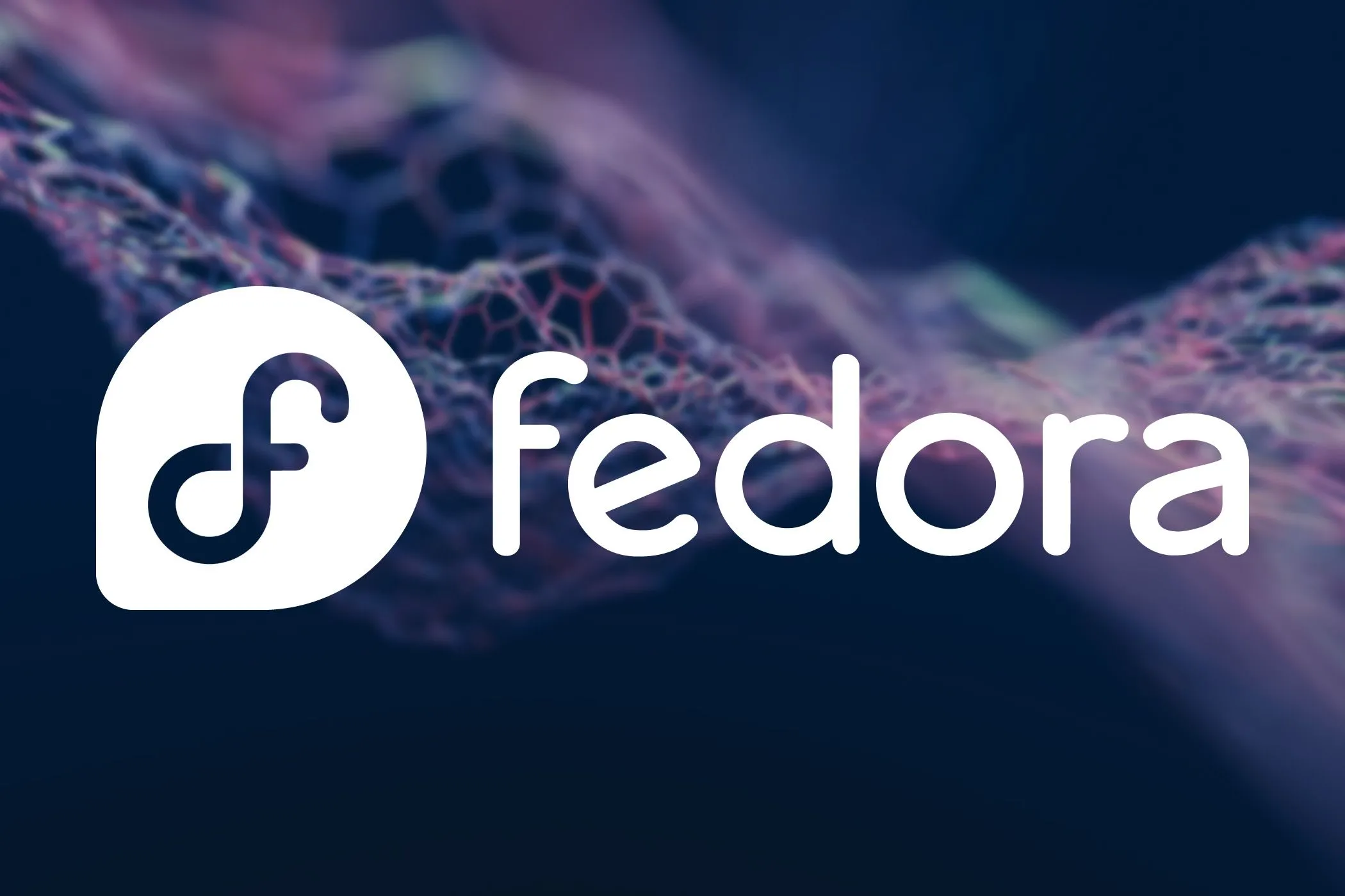 Màn hình laptop hiển thị logo Fedora, một hệ điều hành Linux phổ biến.