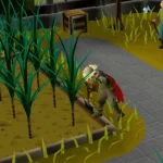 Người chơi RuneScape đang trồng trọt trong bãi cỏ, minh họa game nhập vai trên trình duyệt