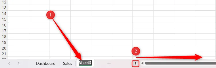 Người dùng đang đổi tên một trang tính trong Excel thành &quot;Jan Sales&quot; và mở rộng khu vực tab để hiển thị rõ hơn.
