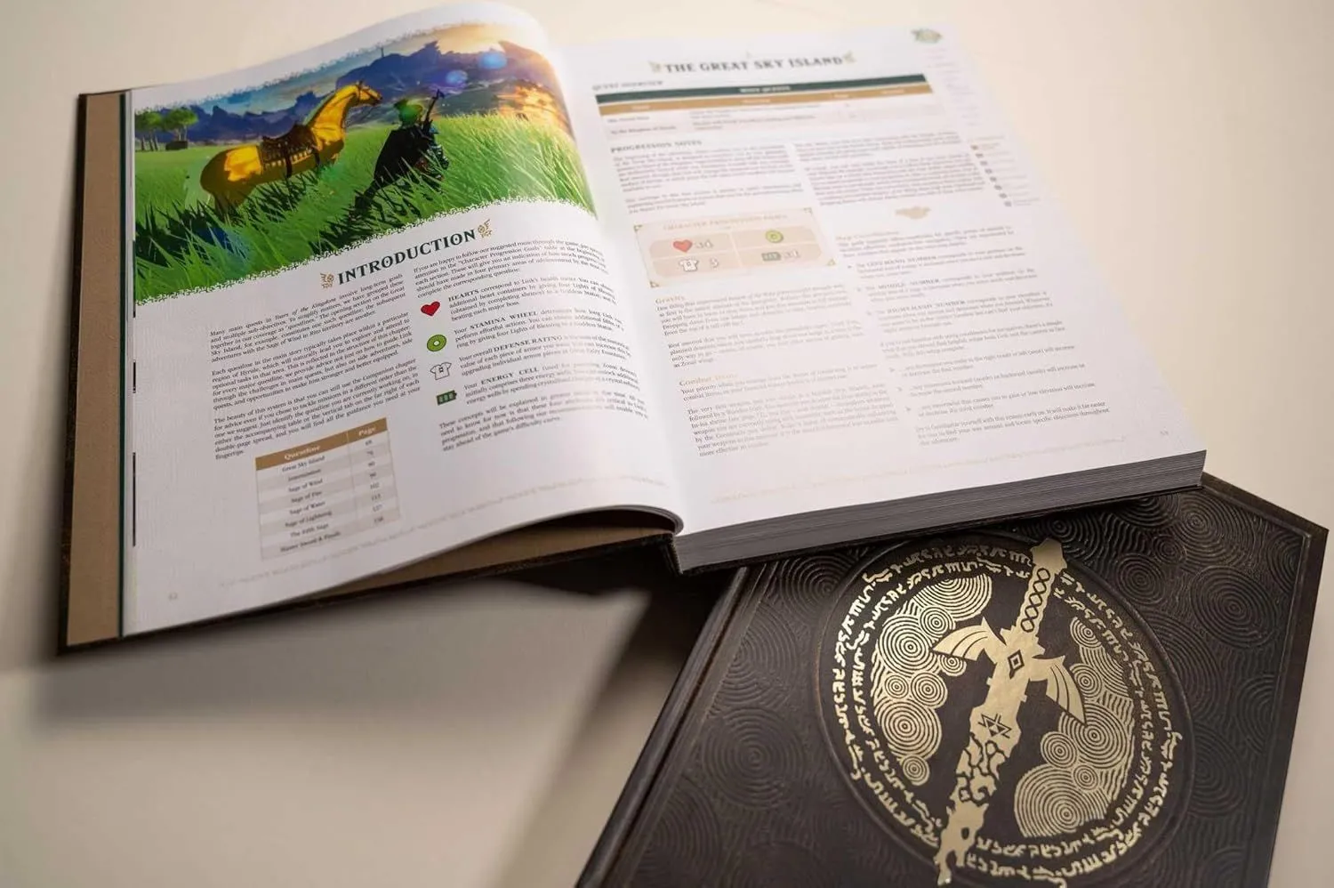 Sách hướng dẫn chiến lược chính thức (strategy guide) của The Legend of Zelda: Tears of the Kingdom do Piggyback xuất bản