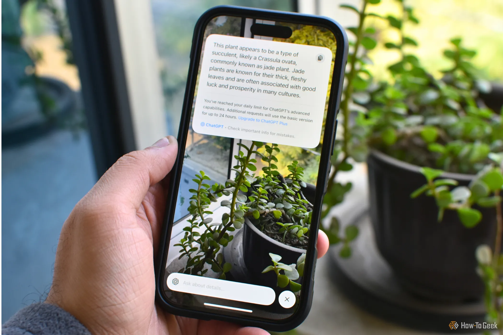Tính năng Visual Intelligence trên iOS 18 của iPhone 16, minh họa công nghệ AI