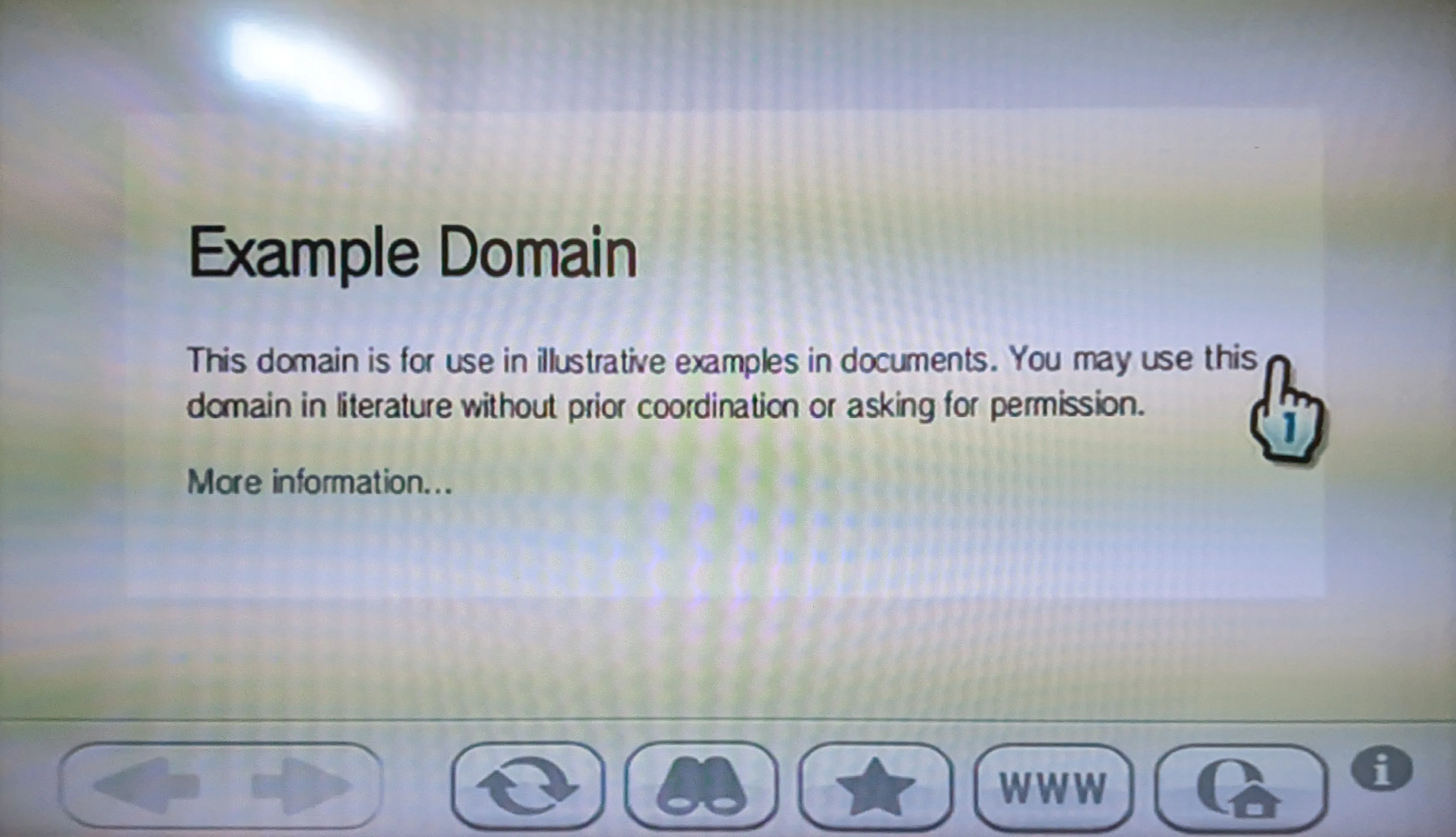 Trình duyệt web của Wii hiển thị thành công nội dung văn bản đơn giản từ trang example.org, chứng tỏ khả năng duyệt các website cơ bản.