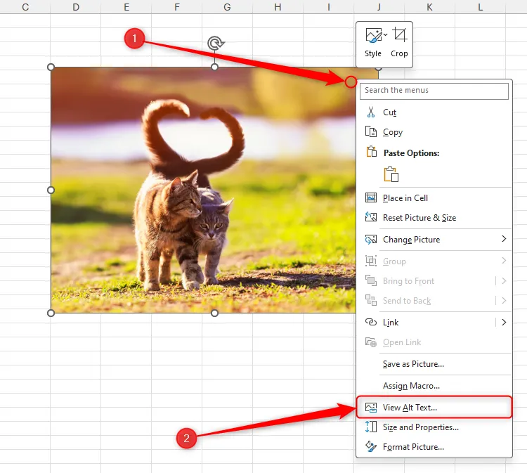 Trong một trang tính Excel, một hình ảnh đã được thêm vào và menu chuột phải đang mở, với tùy chọn &quot;View Alt Text&quot; được chọn.