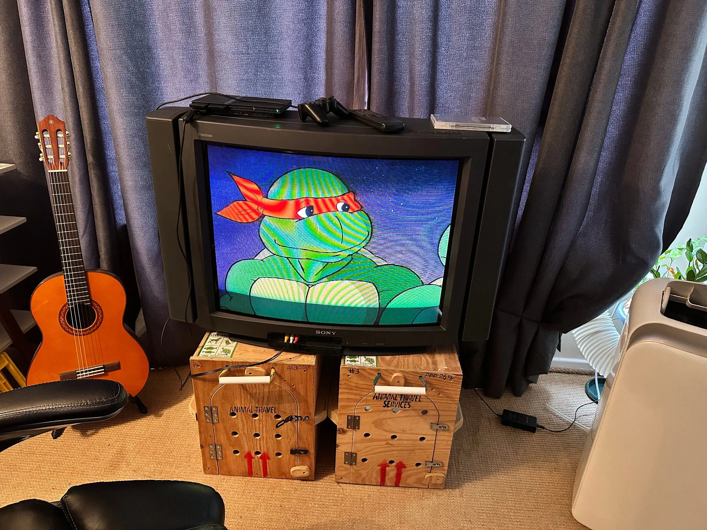 TV CRT Sony hiển thị phim hoạt hình Ninja Rùa, minh họa chất lượng xem nội dung SD trên màn hình TV thùng.