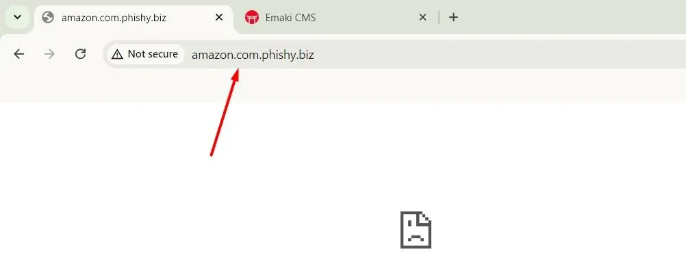 Ví dụ về URL lừa đảo (phishing) và không an toàn của các website độc hại
